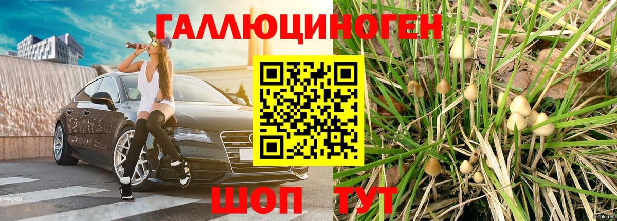 Галлюциногенные грибы GOLDEN TEACHER Реж